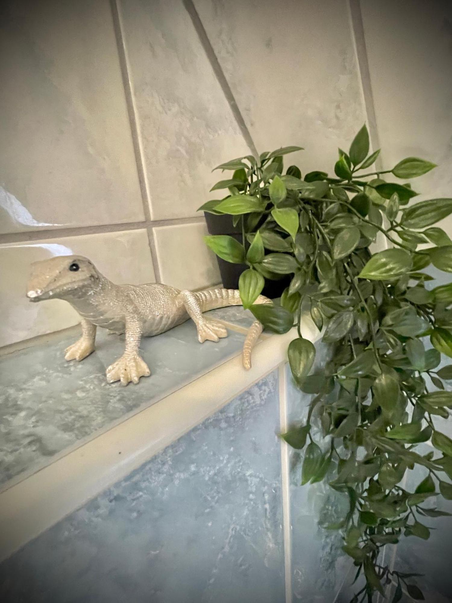 דירות זיגמרינגן Casa Jungle Glanz Deluxe מראה חיצוני תמונה